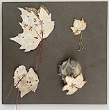 porcelain assemblage by Lesley le Grove